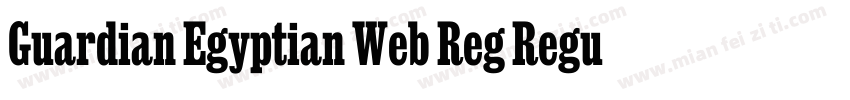 Guardian Egyptian Web Reg Regular字体转换